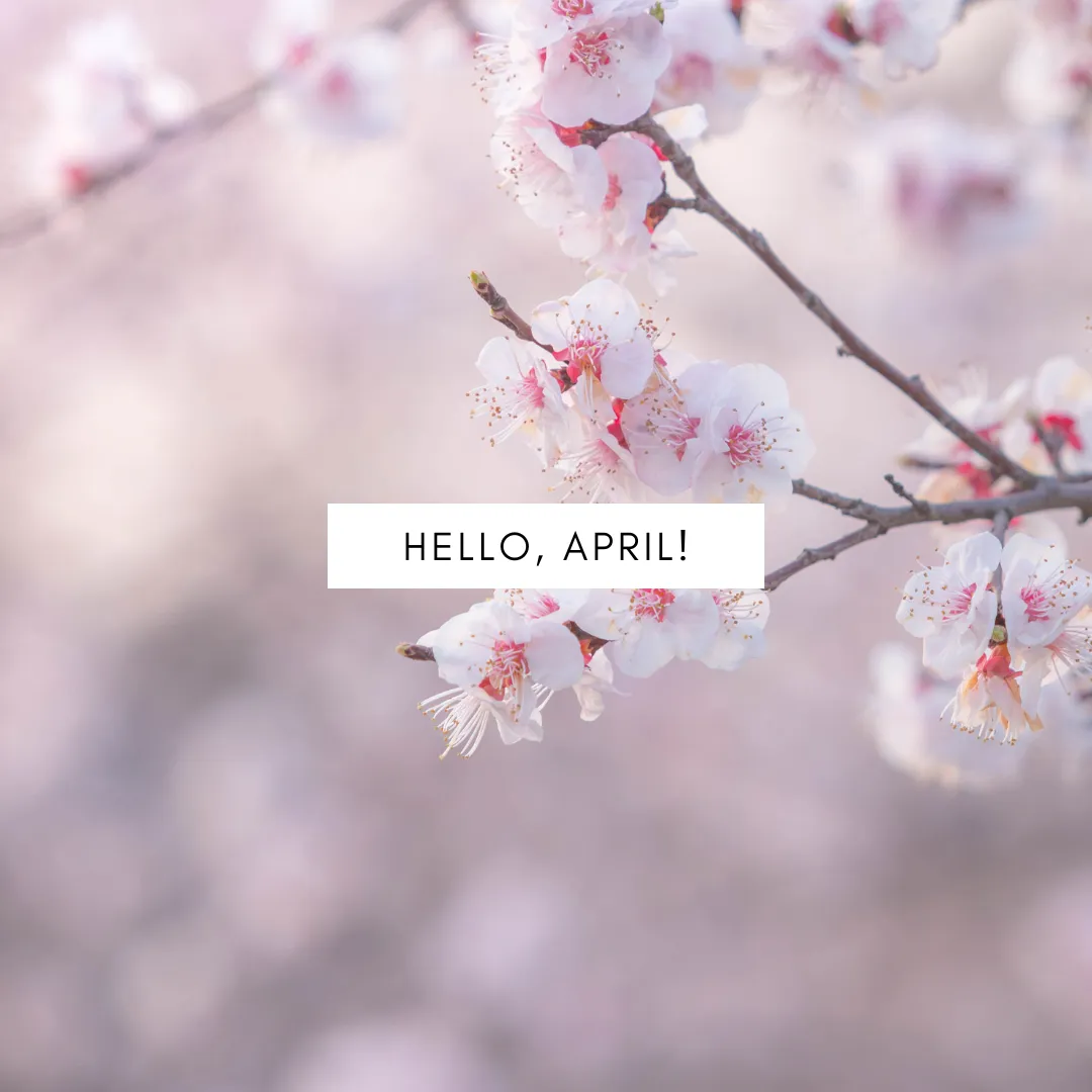 【３月ありがとうございました🌸】